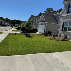 yard care by Green Cares Lawn Services reviewed on August 19, 2025
