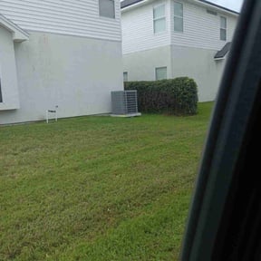 Bush Trimming by KD lawn service reviewed on August 21, 2025