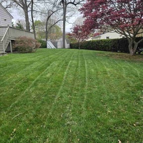lawn care services by Davis Lawn Care Services LLC reviewed on April 8, 2024