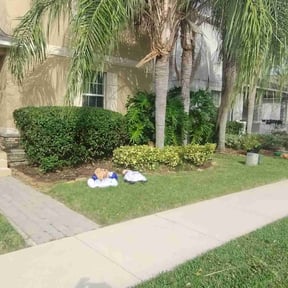 Bush Trimming by Stephens Lawn Care reviewed on August 21, 2025