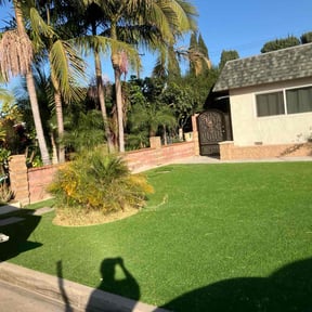 Long Grass Cleanup by Hoosier Heroes reviewed on August 16, 2025