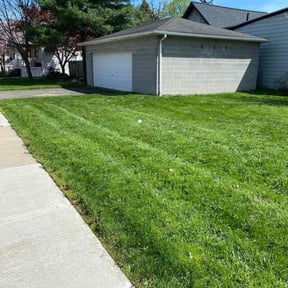 turf care by Grass Munchers reviewed on May 3, 2024