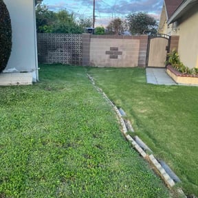 Bush Trimming by Florida Landscape and Mowing reviewed on August 15, 2025