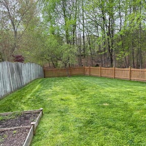 lawn maintenance by Coram landscaping reviewed on October 4, 2024