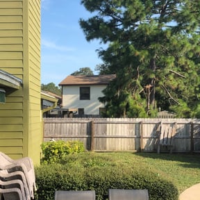 Bush Trimming by Mow & Blow Landscaping and More reviewed on August 18, 2025