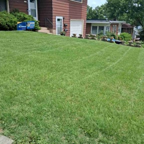 yard care by Lawn Ninjas reviewed on August 15, 2025