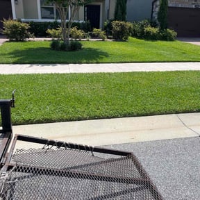 grass maintenance by MVD Lawncare LLC reviewed on July 7, 2025