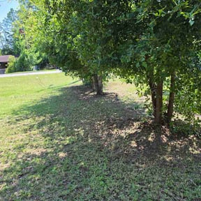 Bush Trimming by Mustard Seed Mowing reviewed on August 14, 2026
