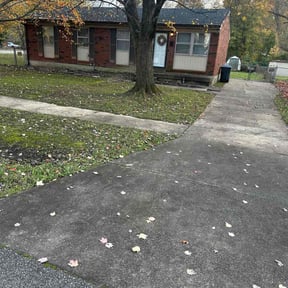 Leaf Removal by Antigua’s landscaping reviewed on August 14, 2026