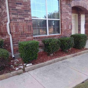 Bush Trimming by JCC Lawn & Landscape reviewed on August 18, 2025