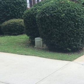 Bush Trimming by Texas Best Lawn and Farm reviewed on August 17, 2025