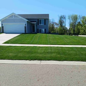 yard care by Yards Done Daily reviewed on August 18, 2025