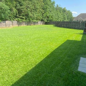 landscaping by Cohen Lawn & Landscaping reviewed on August 20, 2025