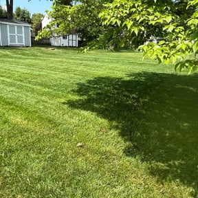 gardening service by Bb Cutts reviewed on August 16, 2025