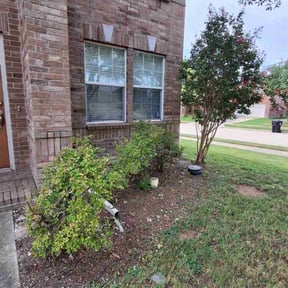 Bush Trimming by MMS Lawncare and Landscaping reviewed on November 22, 2025