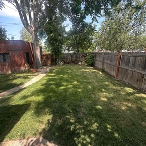 yard care by Excellence Landscape LLC d d reviewed on August 16, 2025