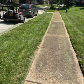 landscaping by This & That reviewed on August 17, 2025