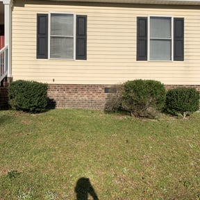 Bush Trimming by Pure Lawn Care reviewed on August 20, 2025