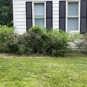 Flower Bed Weeding by Precision Landscaping &amp; more reviewed on October 24, 2025