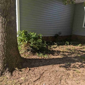 Bush Trimming by Elemental Community Improvement Service reviewed on August 21, 2025