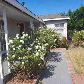 Bush Trimming by 1970 reviewed on November 23, 2025