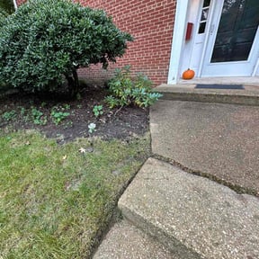 Bush Trimming by EZ MOW LAWN CARE reviewed on August 16, 2025