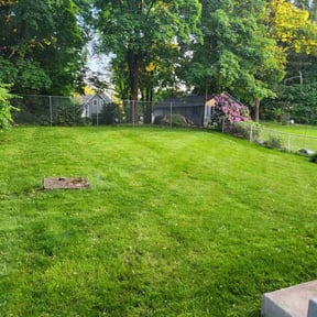 yard care by Lawnawn, LLC reviewed on August 21, 2025