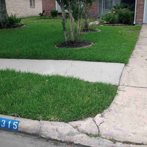 yard service by Straight Shot reviewed on December 18, 2025