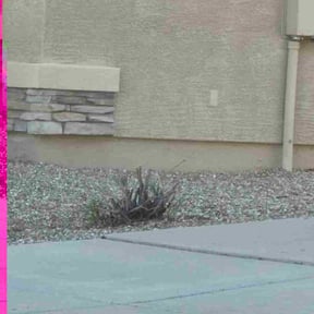 Bush Trimming by The Green Op reviewed on October 24, 2025