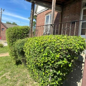 Bush Trimming by G and S Lawn Care and More reviewed on April 1, 2023