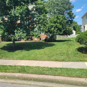 yard maintenance by Tyler lawn service reviewed on August 20, 2025