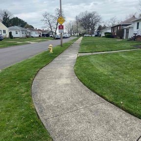 yard maintenance by Tefel rivera reviewed on August 19, 2025