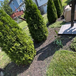 Flower Bed Weeding by Eden Green Landscaping reviewed on August 15, 2026