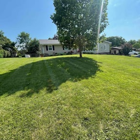yard maintenance by We Great lawn care reviewed on August 20, 2025