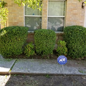 Bush Trimming by Neat & Complete Services reviewed on August 19, 2025