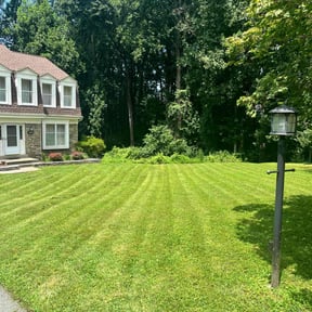 yard care by Ortega lawn services LL reviewed on August 18, 2025
