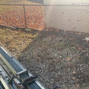 Leaf Removal by STAR Lawn Care Services reviewed on August 14, 2025