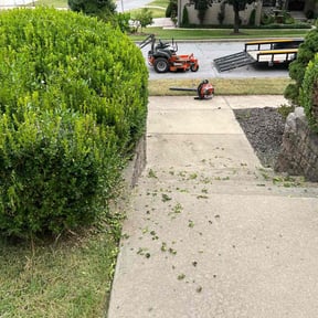 Bush Trimming by Handy Jack reviewed on August 16, 2025