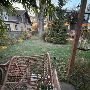 Leaf Removal by Lawncare &amp; Landscaping reviewed on October 24, 2025