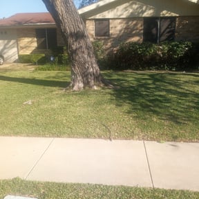 Bush Trimming by DWB Lawn Care Services reviewed on August 18, 2025