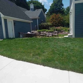 yard service by Dxd lawn care reviewed on August 15, 2025