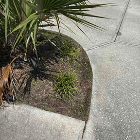 Flower Bed Weeding by Jakub Pawlica reviewed on July 11, 2026