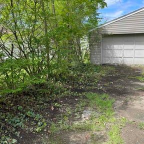 Leaf Removal by Otero's lawnmower reviewed on May 6, 2026
