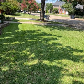 landscaping by Jose Martinez Landscape Services reviewed on November 24, 2025