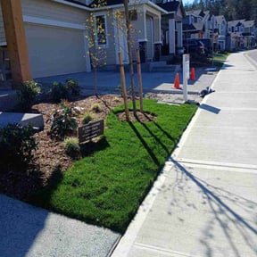 gardening service by Hummingbird Home Services reviewed on August 17, 2025
