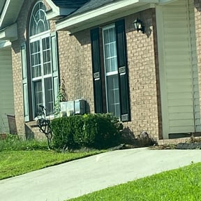 Bush Trimming by J & T Services reviewed on August 17, 2025
