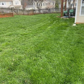 yard work by Collins Professional Landscape reviewed on August 18, 2025