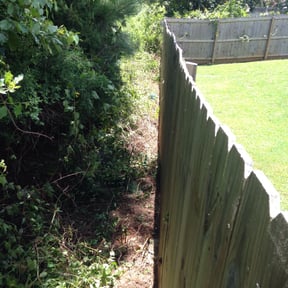 Bush Trimming by K services reviewed on August 19, 2025