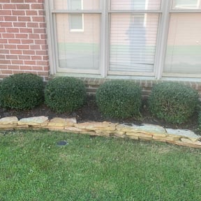 Bush Trimming by Watson Yard Works reviewed on August 16, 2025