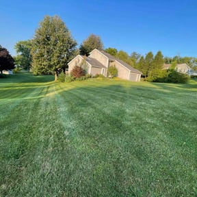 yard maintenance by Hector's reviewed on August 16, 2025